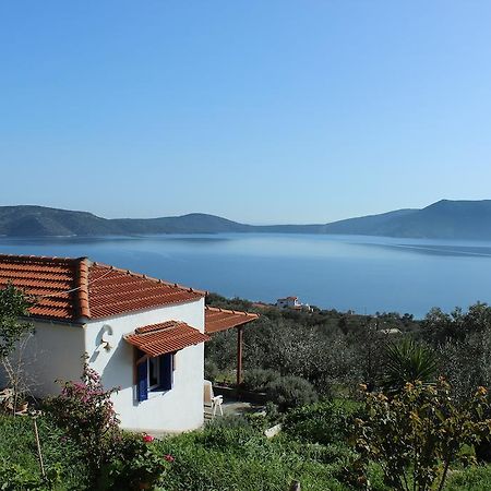 Villa Mourtero House Kalamakia Camera foto